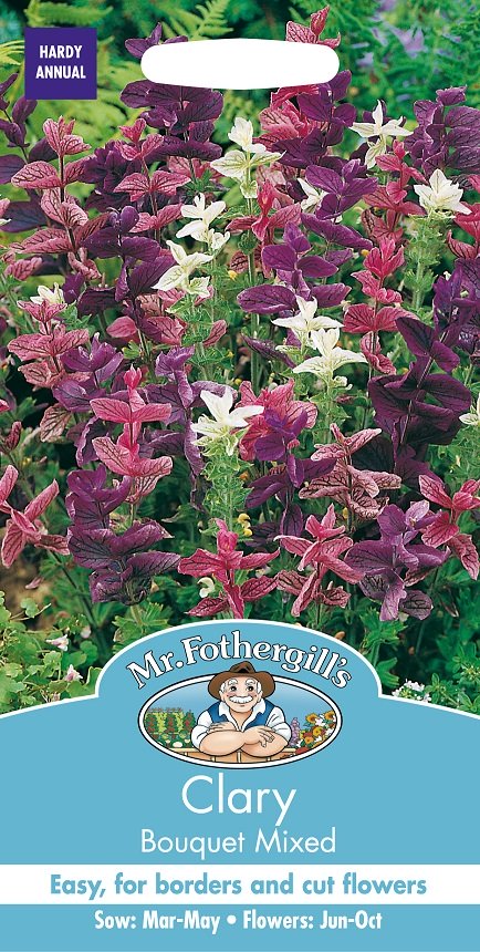 Broksalvia 'Bouquet' mix, frö - Fröer