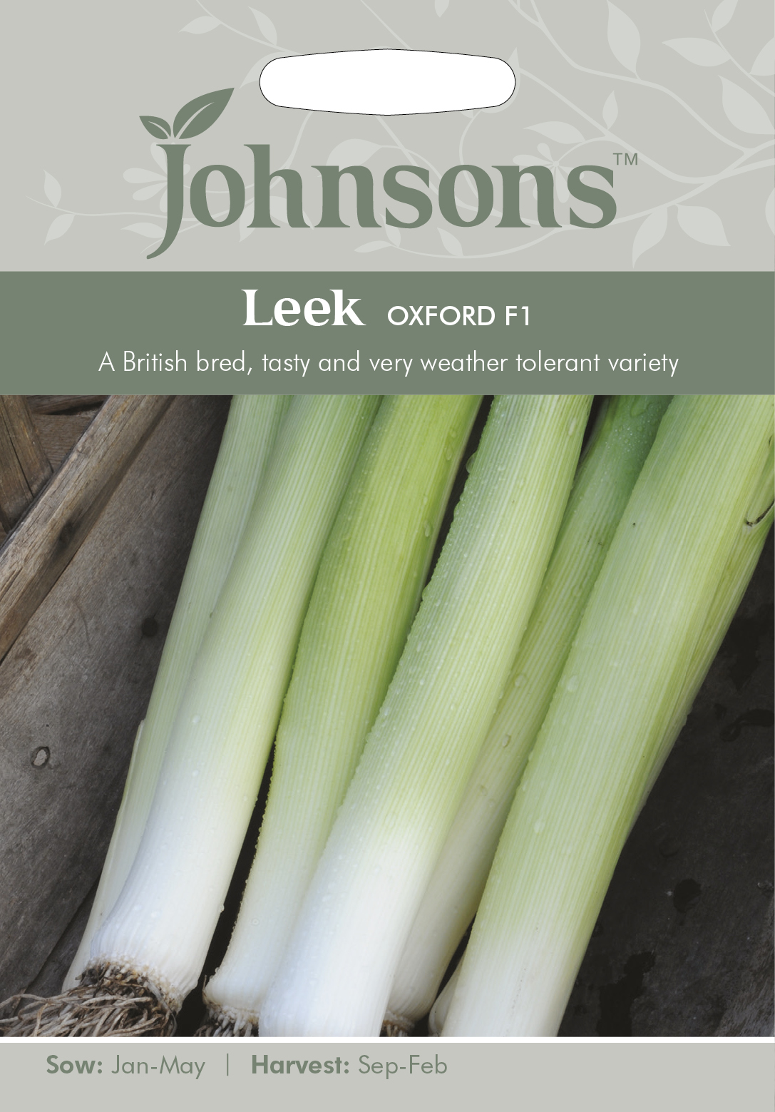 Purjolök 'Oxford' - Fröer