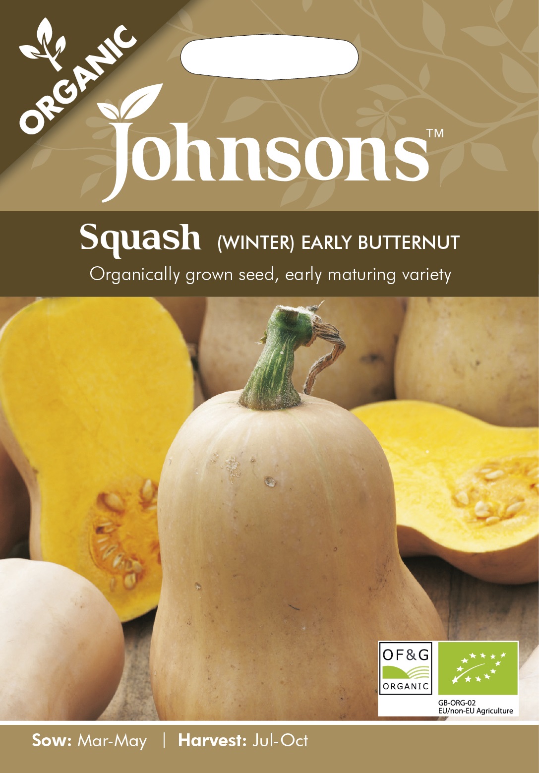 Squash (Winter) 'Early Butternut' Organic - Fröer