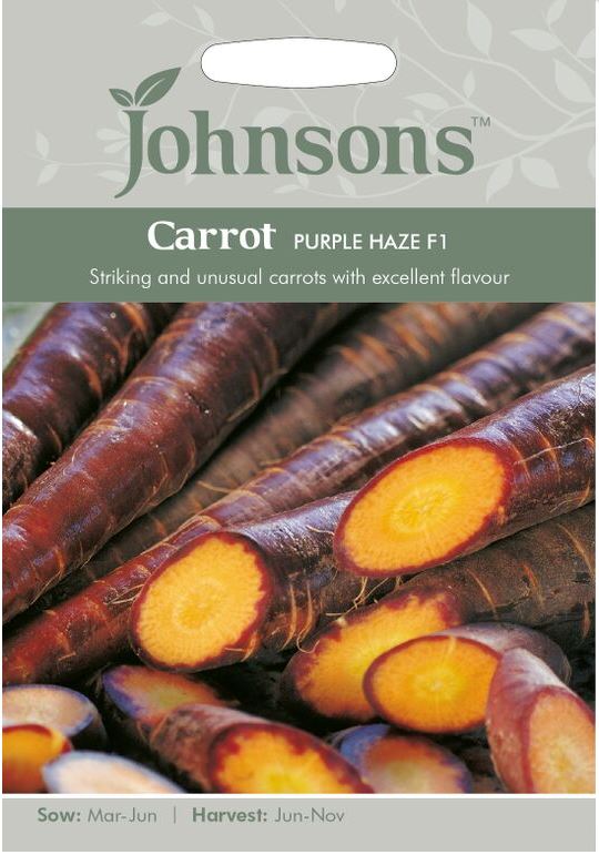 Morot 'Purple Haze F1' - Fröer