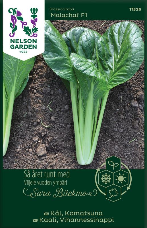 Melon 'Arava F1' - Fröer