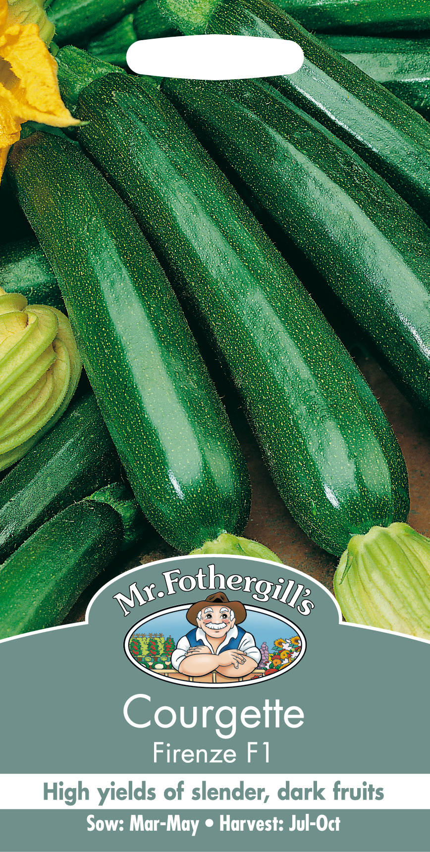 Zucchini 'Firenze F1' - Fröer