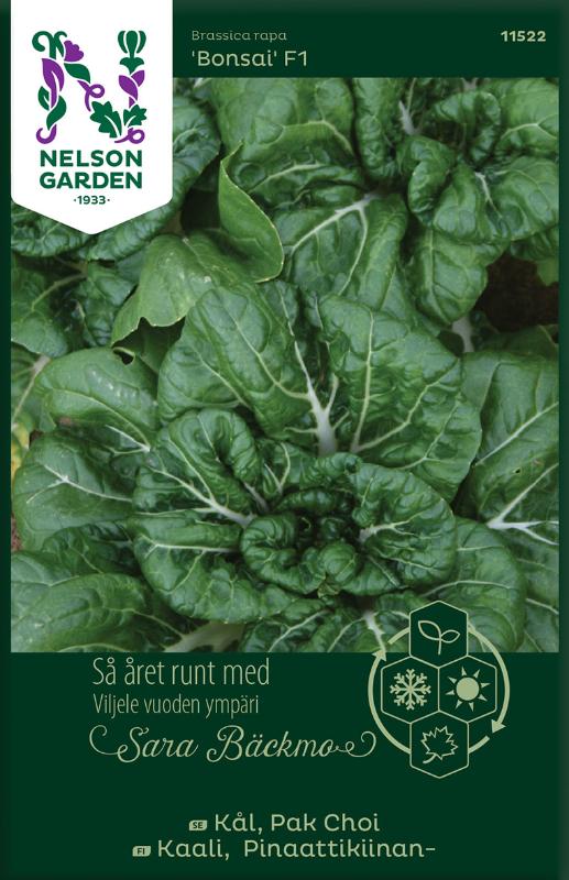 Pak Choi 'Bonsai' F1 frö - Fröer