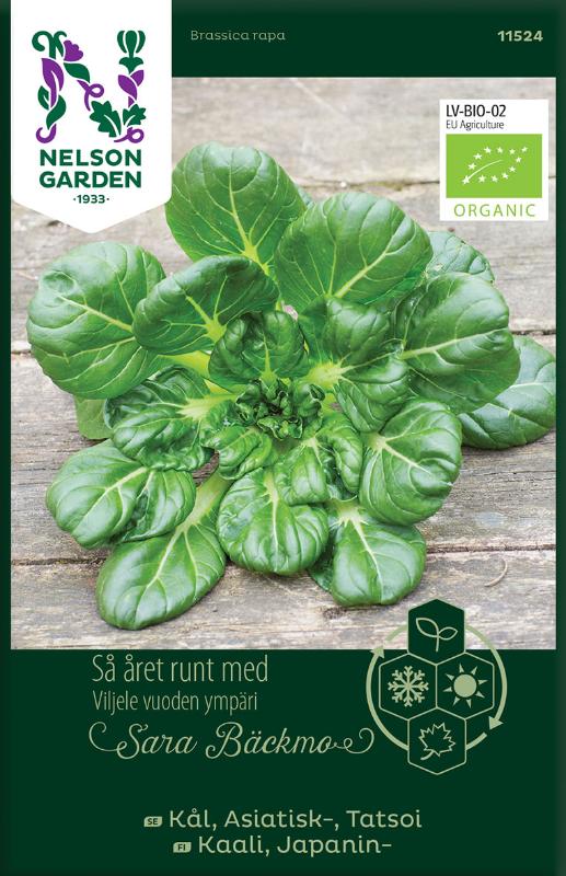 Tatsoi- kål Organic - Fröer