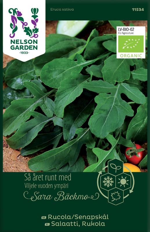 Rucola / Senapskål Organic frö - Fröer