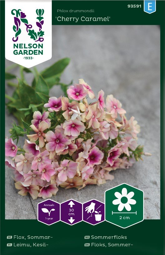 Sommarflox 'Cherry Caramel' frö - Fröer