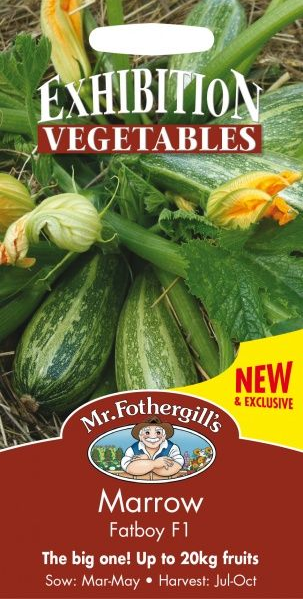 Sommarsquash 'Fatboy F1' - Fröer