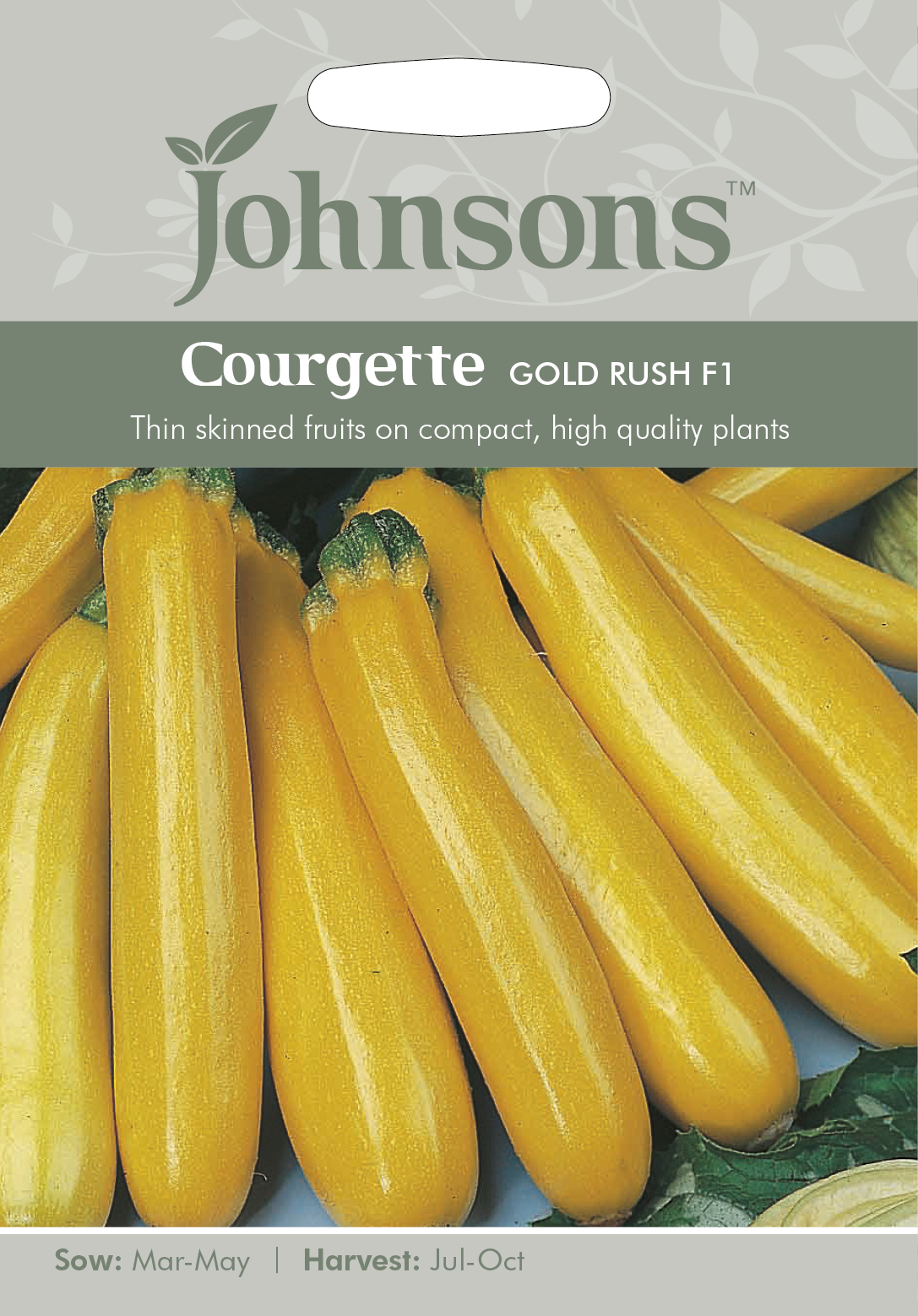 Zucchini 'Gold Rush F1' - Fröer