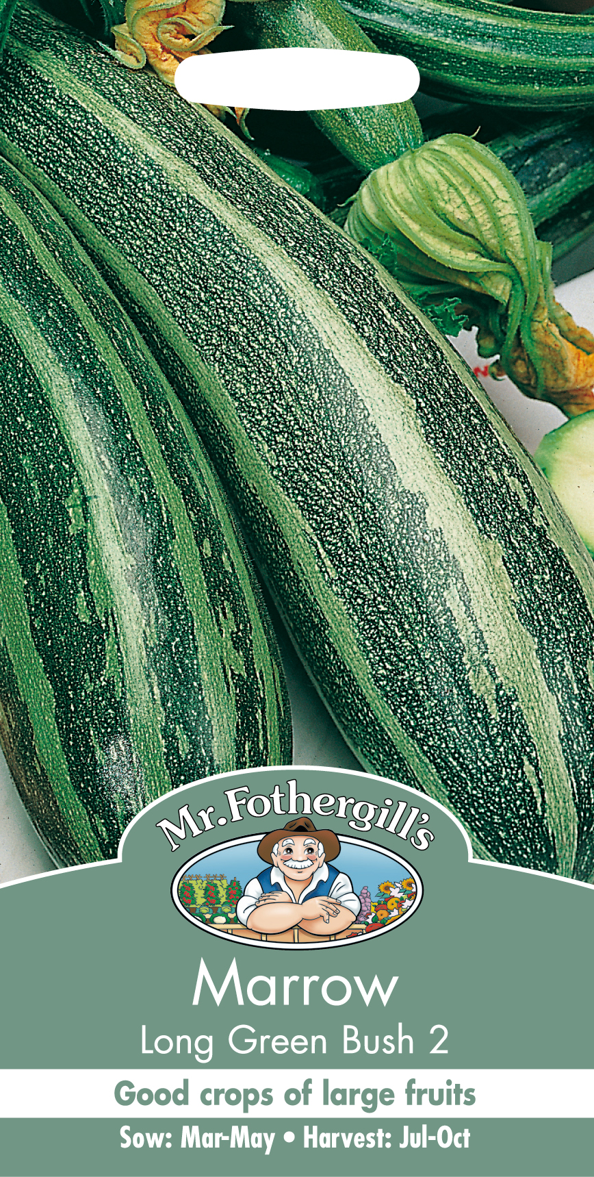 Sommarsquash 'Long Green Bush 2' - Fröer