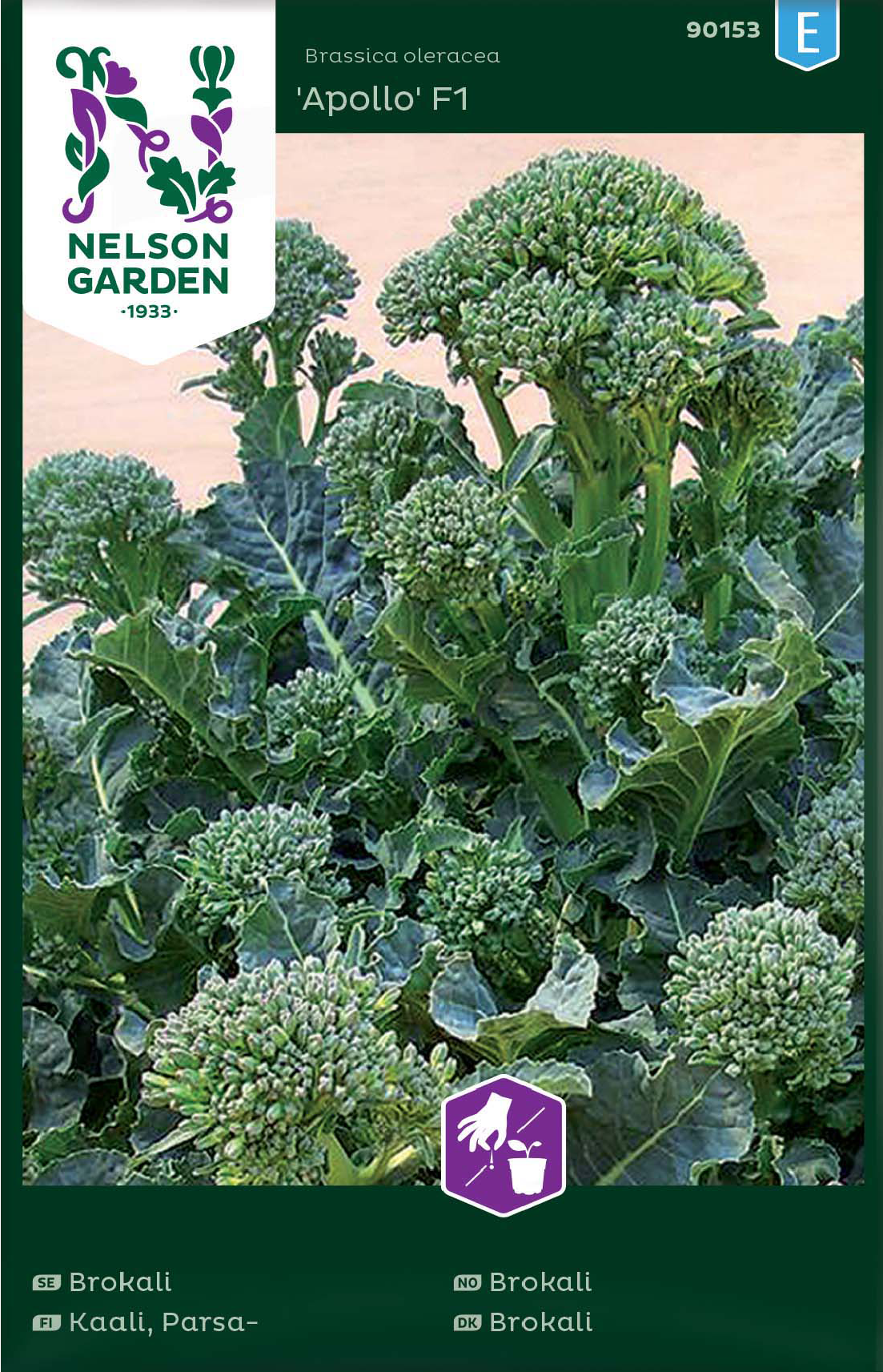 Broccoli 'Apollo F1' frö - Fröer