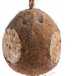 Kokosnöt 3-hål - Fröer