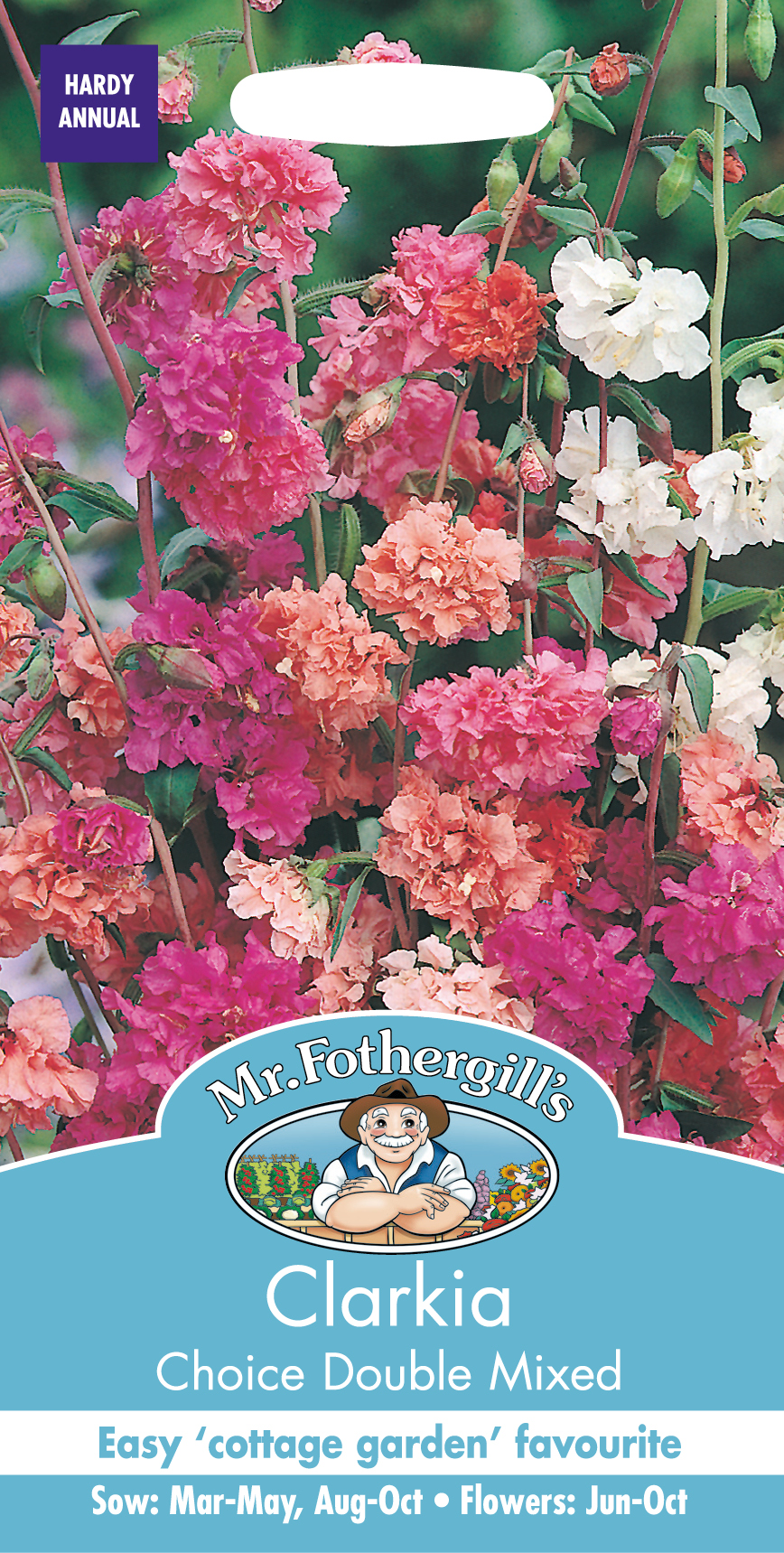 Clarkia 'Choice Double' mix, frö - Fröer