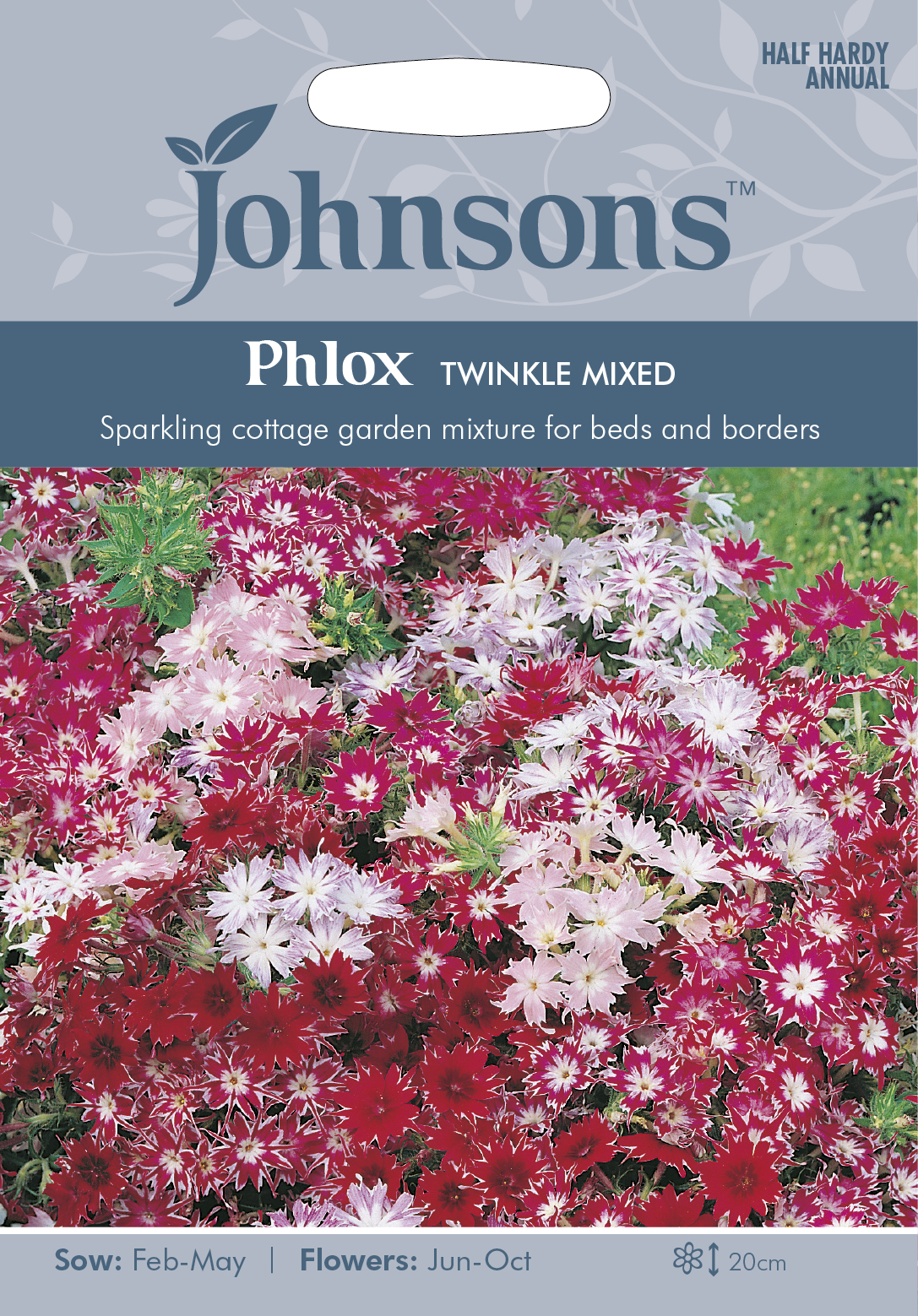 Sommarflox 'Twinkle' mix, frö - Fröer