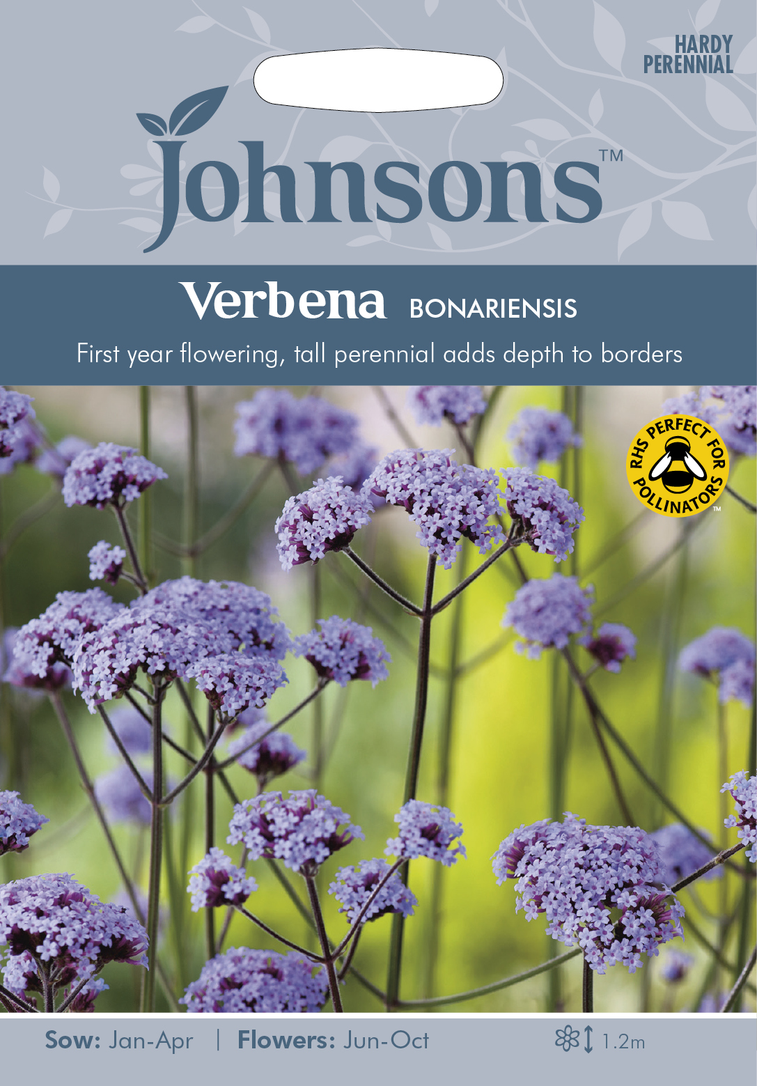 Jätteverbena, frö - Fröer