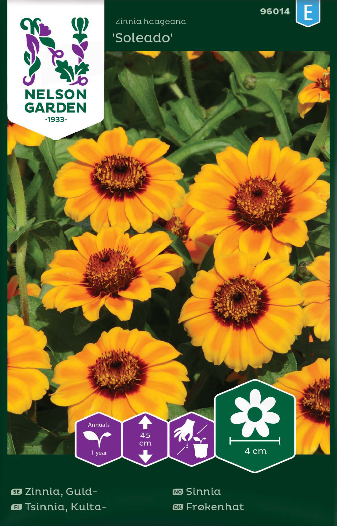 Zinnia 'Soleado' frö - Fröer