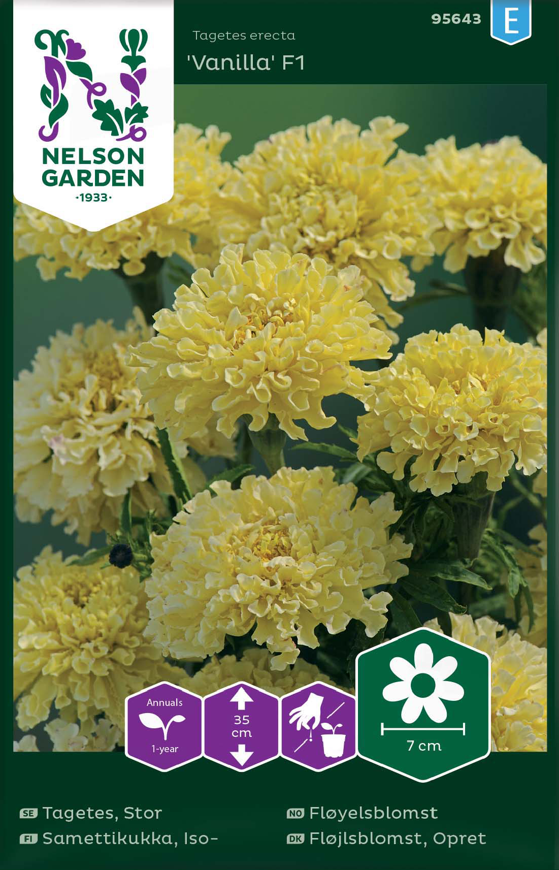 Tagetes 'Vanilla' F1 frö - Fröer