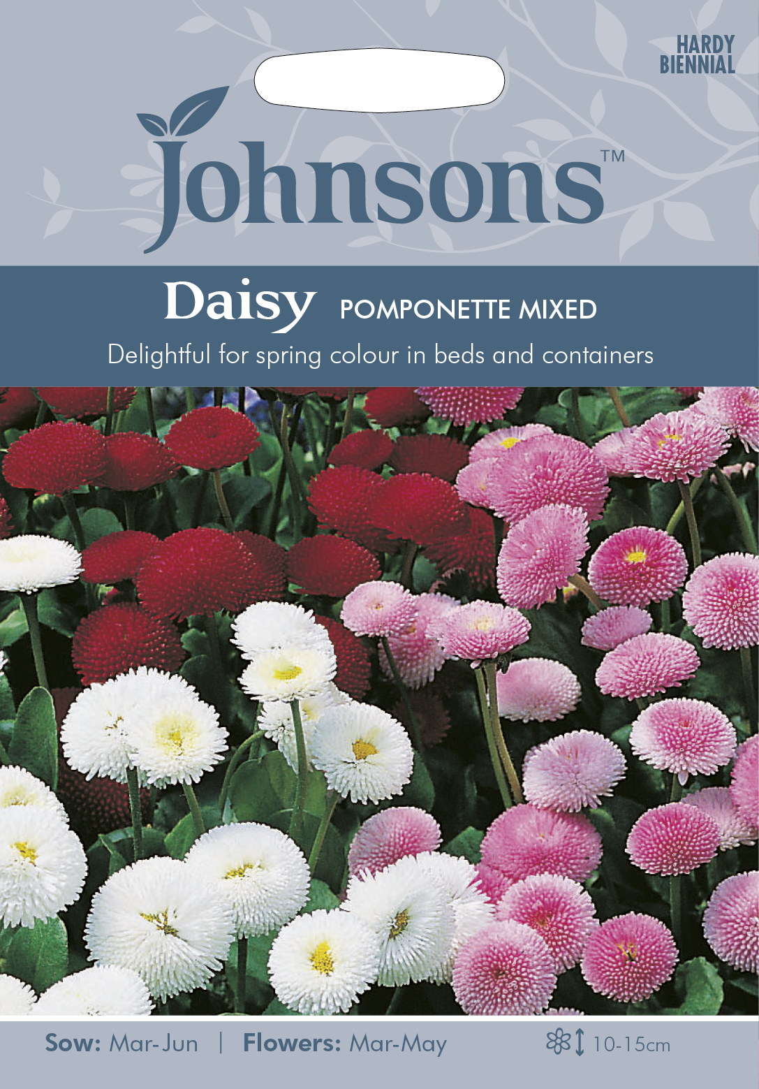 Tusensköna 'Pomponette' mix, frö - Fröer