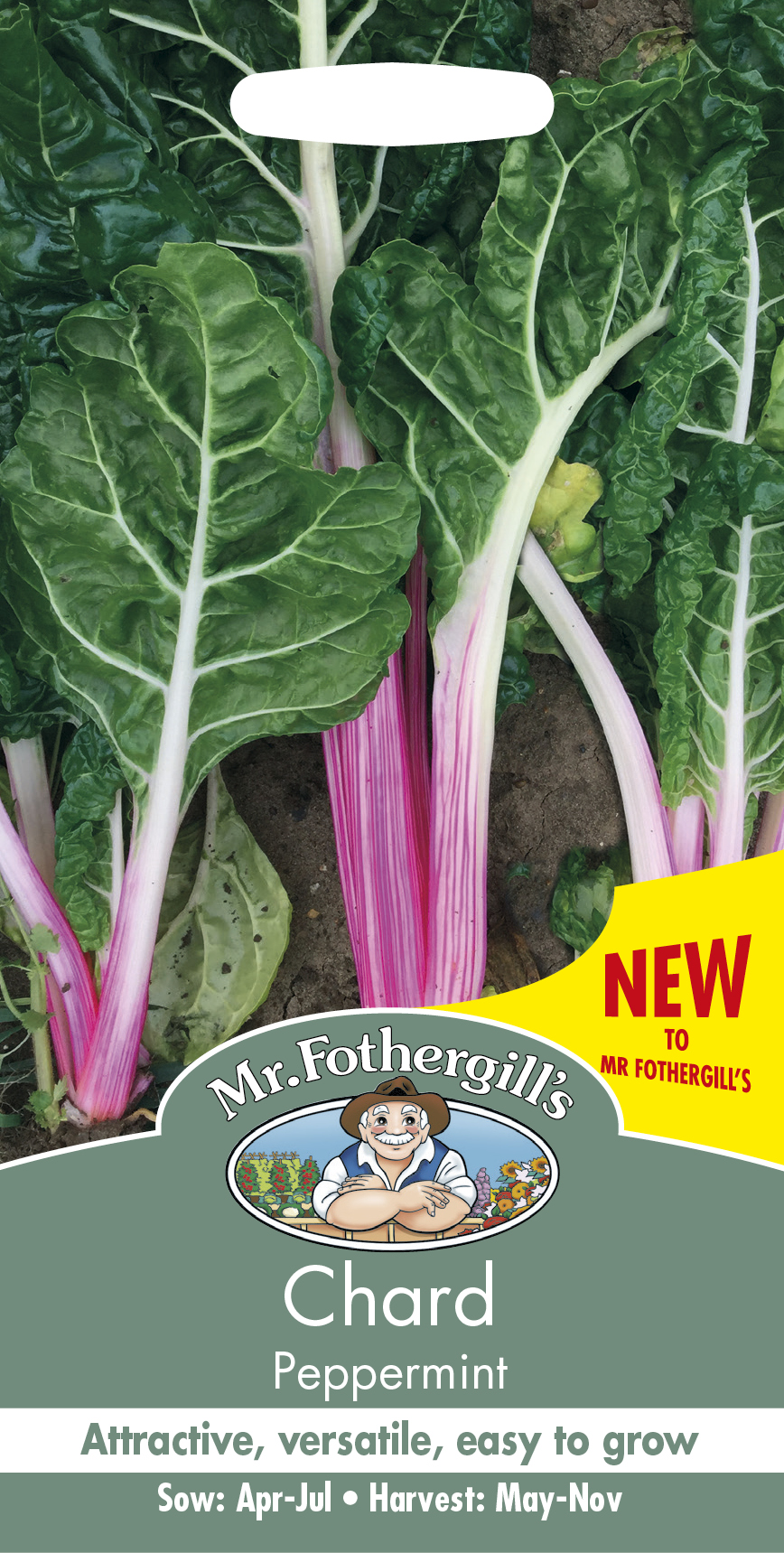 Mangold 'Chard Peppermint' - Fröer