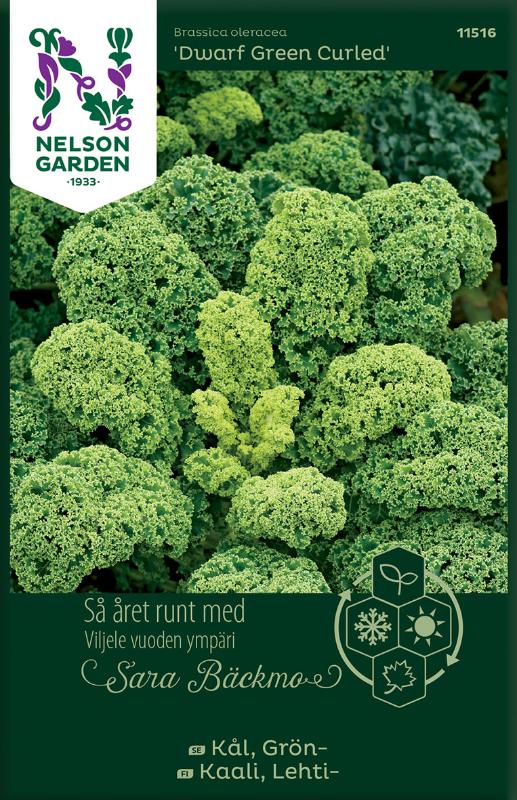 Grönkål 'Dwarf Green Curled / Half Tall' frö - Fröer