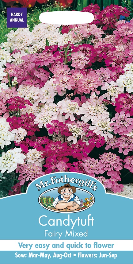 Roseniberis 'Fairy' mix, frö - Fröer