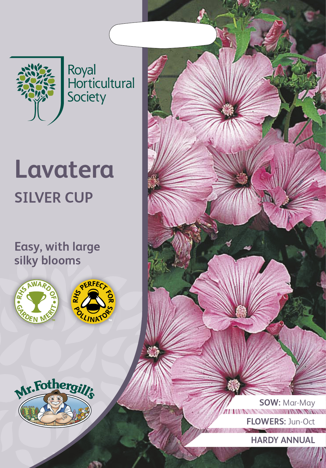 Sommarmalva 'Silver cup', frö - Fröer
