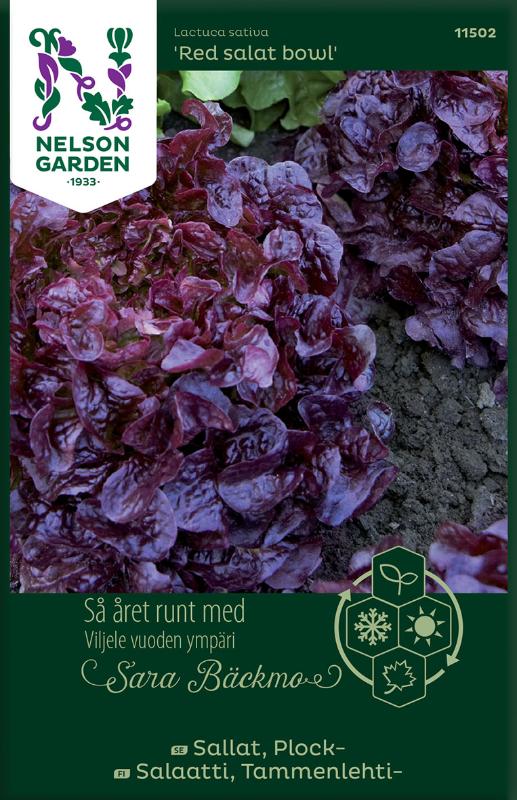 Plocksallat 'Red Salad Bowl' frö - Fröer