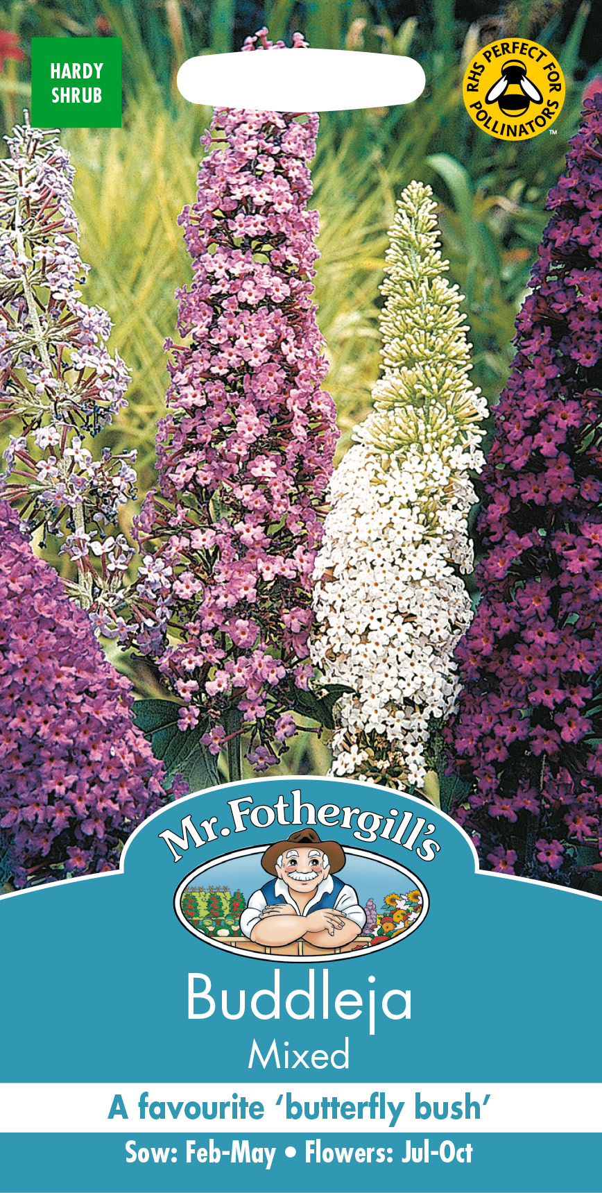 Syrenbuddleja mix, frö - Fröer