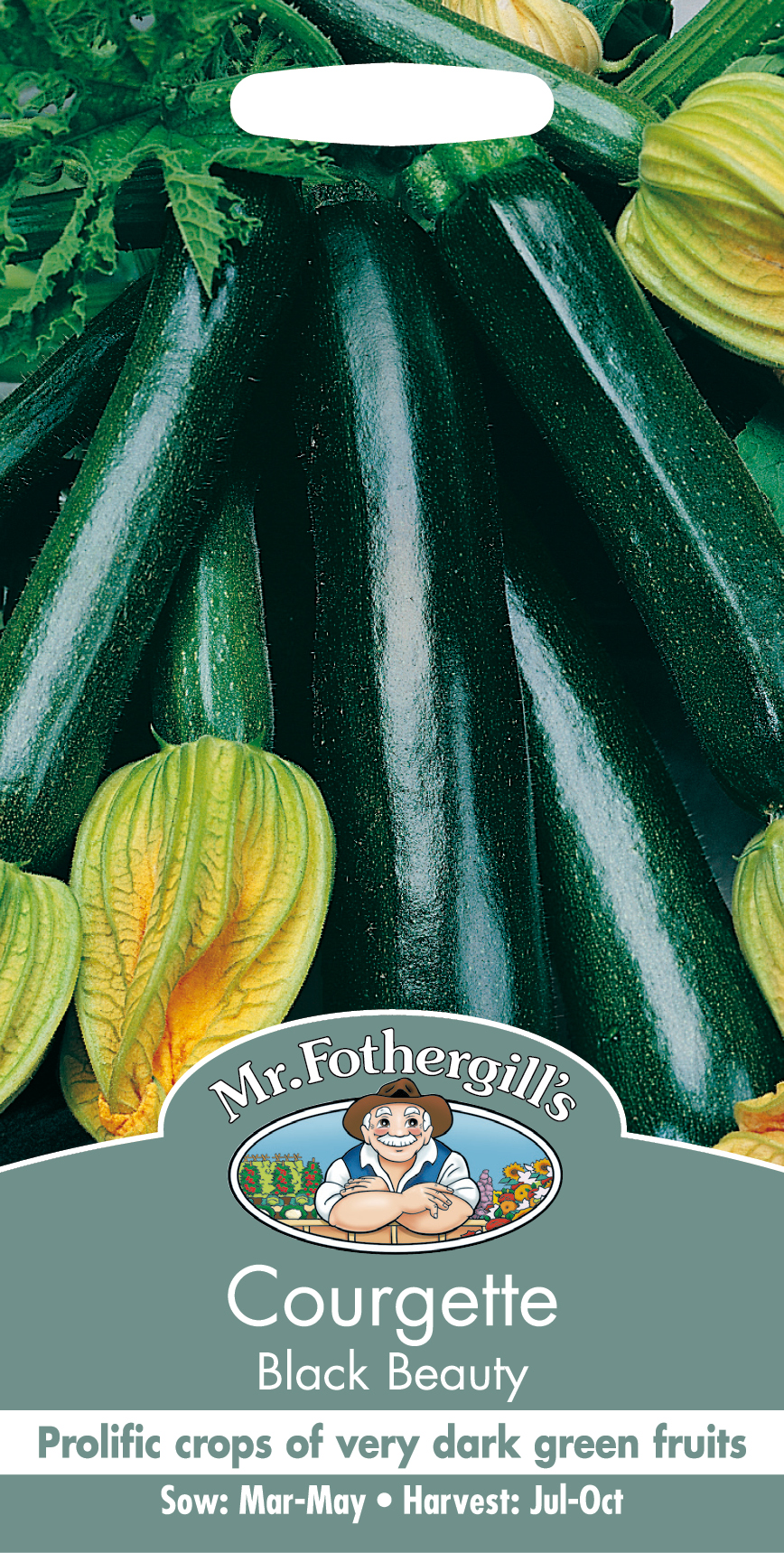 Sommarsquash 'Black Beauty' - Fröer