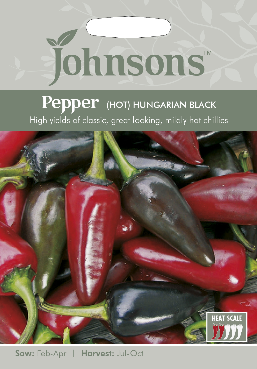 Chili 'Hungarian Black' - Fröer