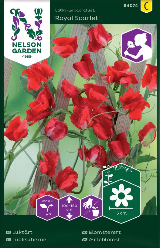 Luktärt 'Royal Scarlet' frö - Fröer