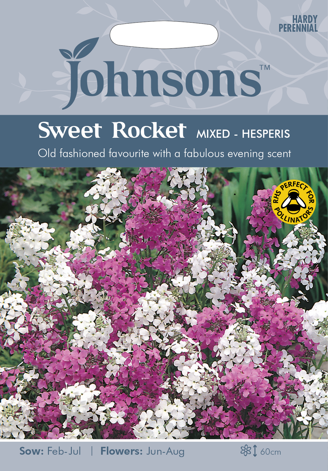 Trädgårdsnattviol (Hesperis) mix, frö - Fröer