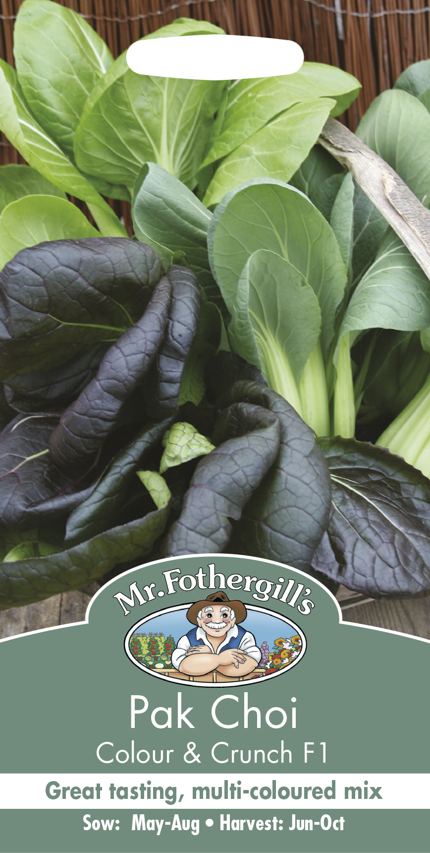 Pak Choi 'Colour & Crunch' F1 - Fröer