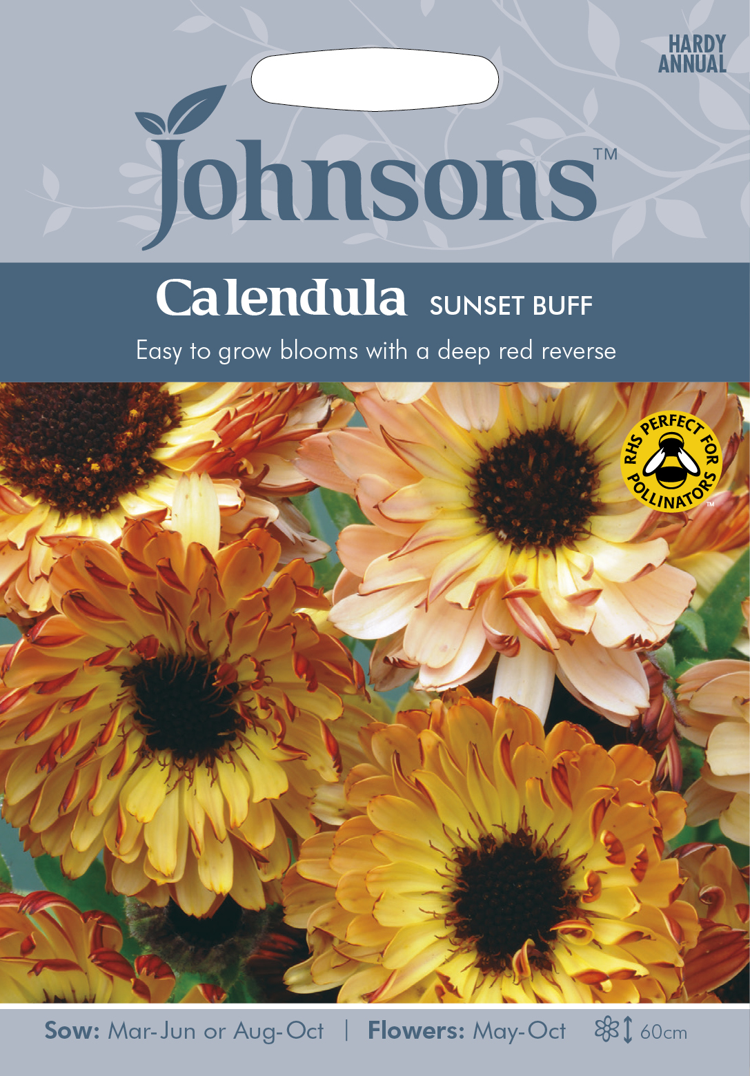 Ringblomma 'Sunset Buff', frö - Fröer