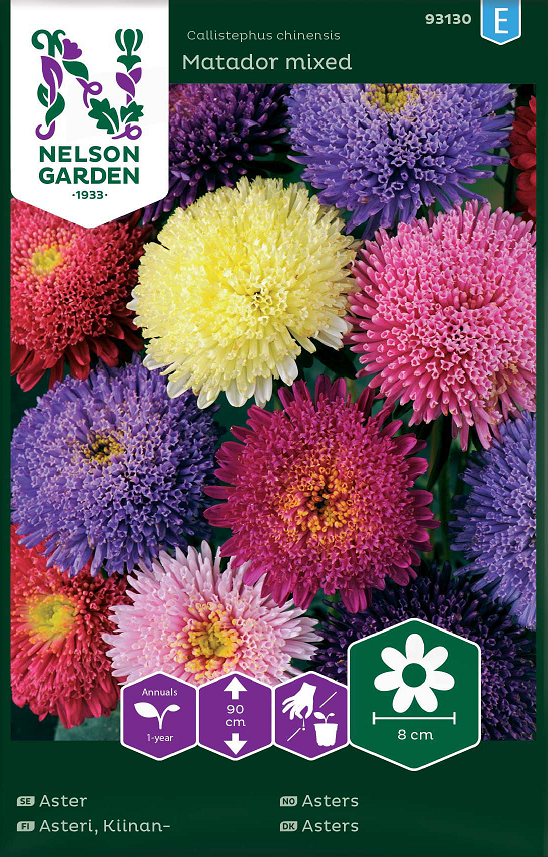 Aster 'Matador' frö - Fröer