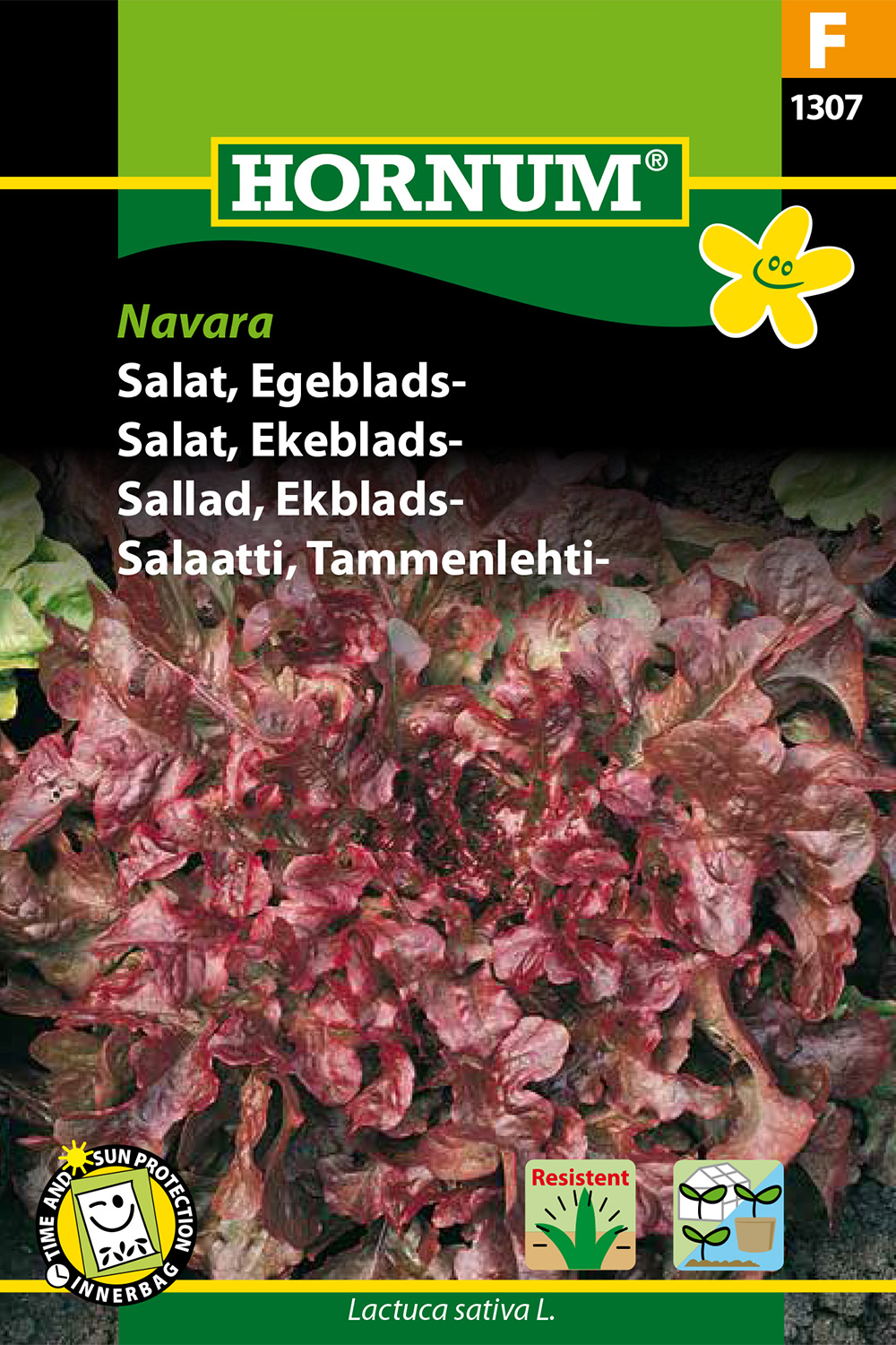 Ekbladssallat 'Navara' frö - Fröer