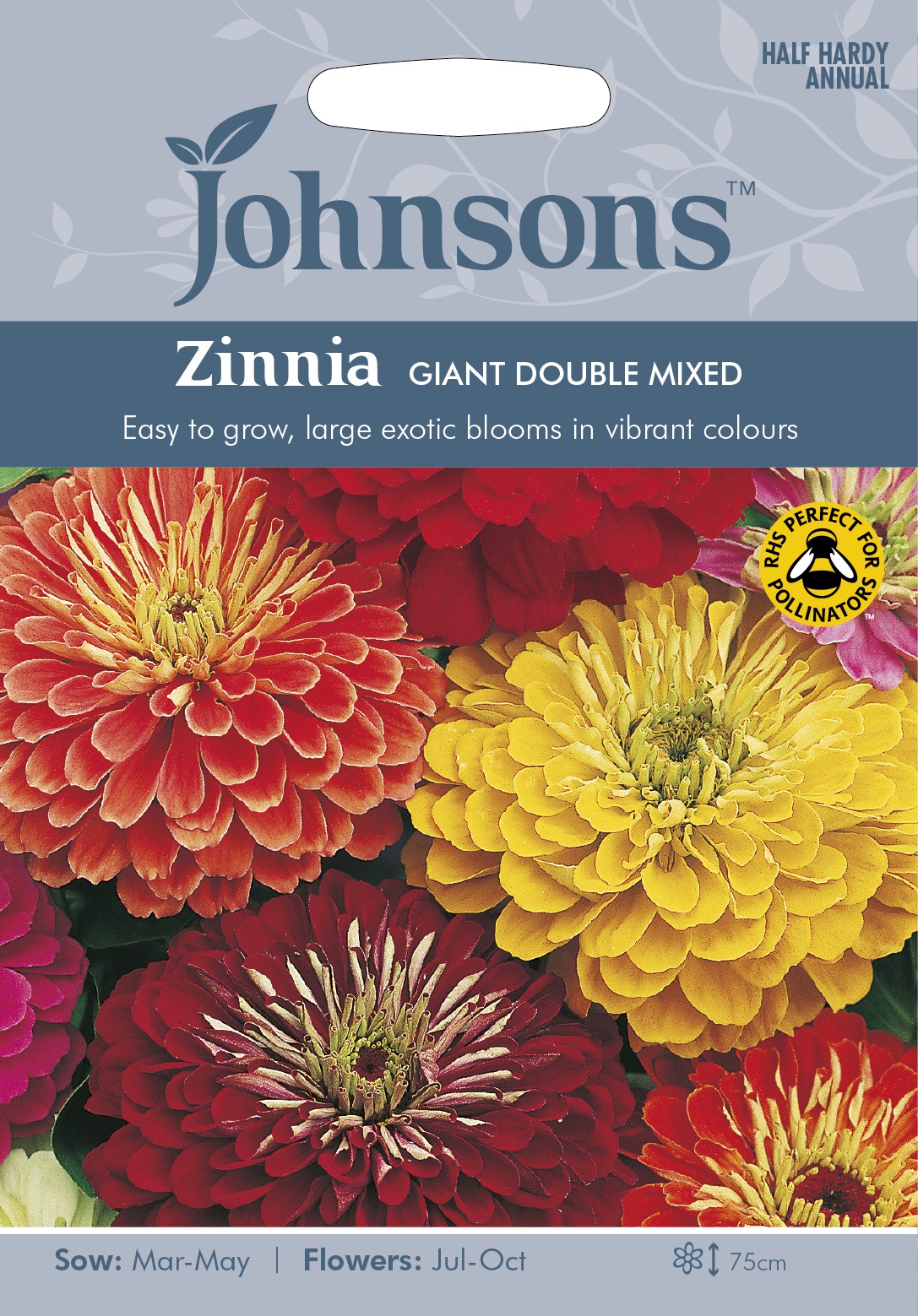 Zinnia 'Giant Double Mix' frö - Fröer