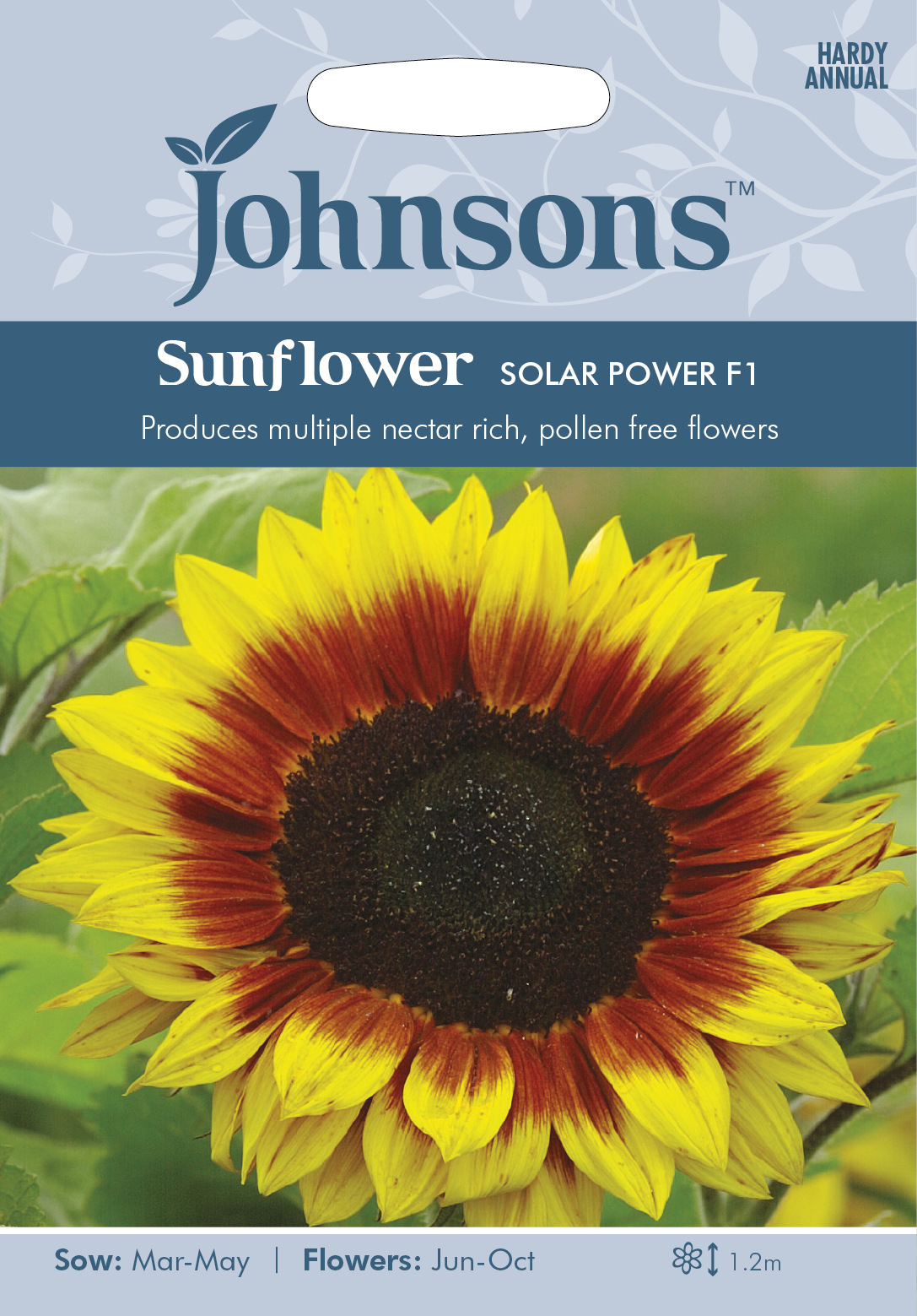 Solros 'Solar Power' F1, frö - Fröer