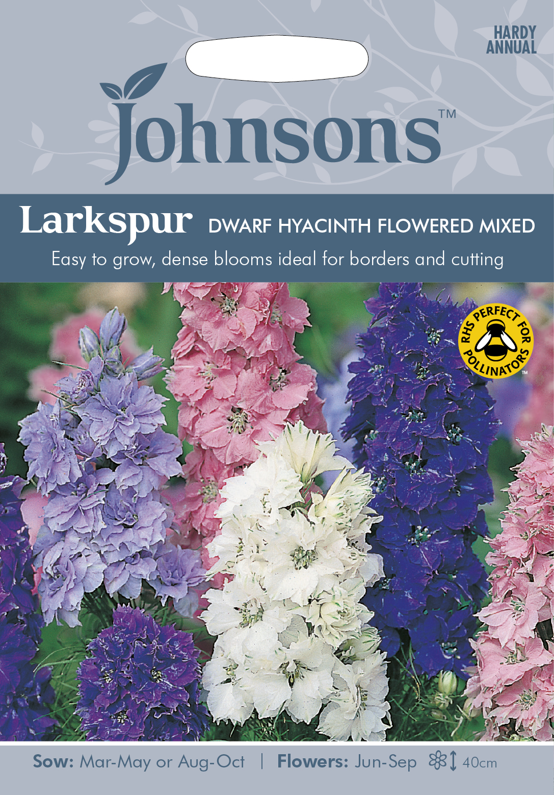Romersk riddarsporre 'Dwarf Hyacinth Flowered' mix, frö - Fröer