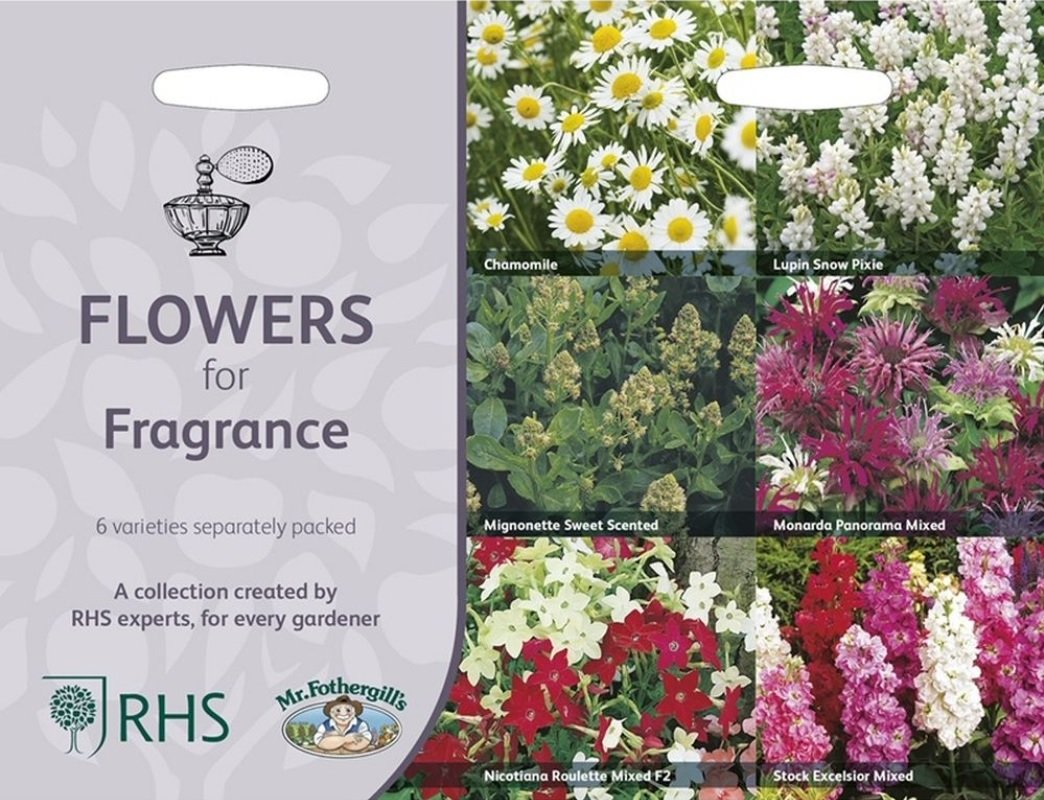 Blommor för Doft (Kollektion) 6 sorter, frö - Fröer