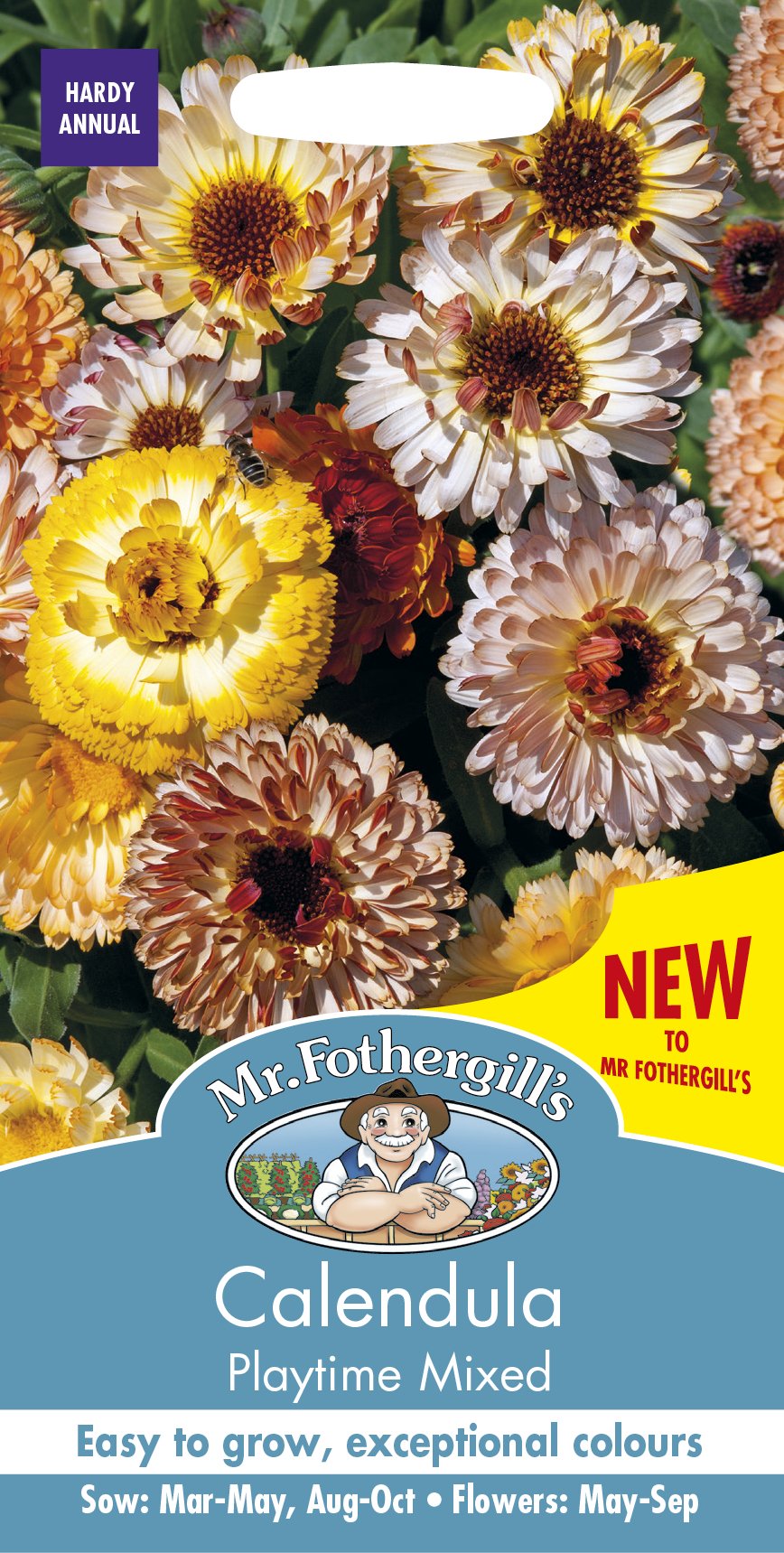 Ringblomma 'Playtime Mixed' - Fröer