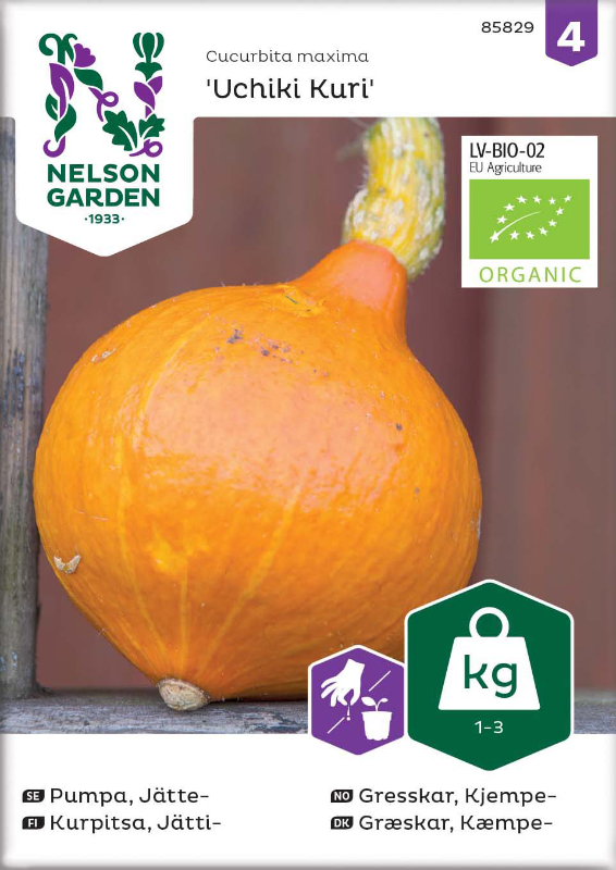 Jättepumpa 'Uchiki Kuri' Organic frö - Fröer