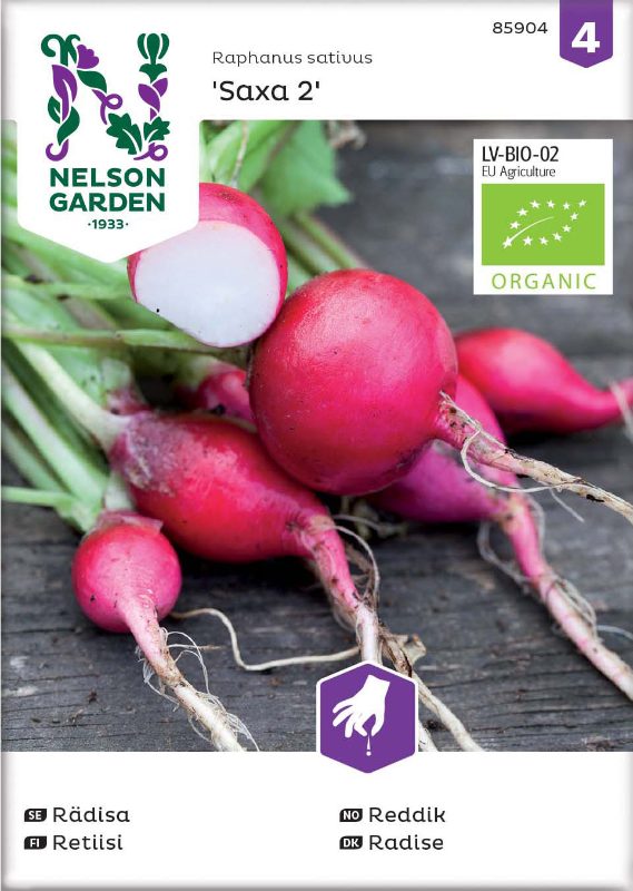 Rädisa 'Saxa 2' Organic frö - Fröer
