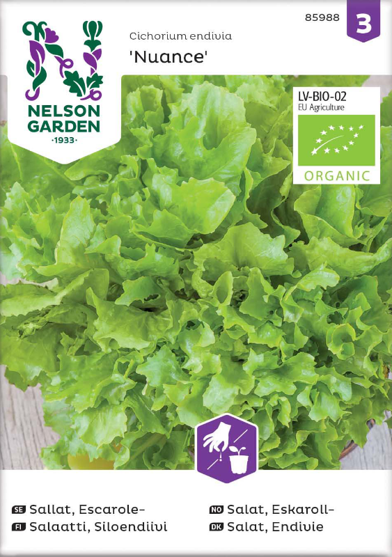 Escarolesallat 'Nuance' Organic frö - Fröer