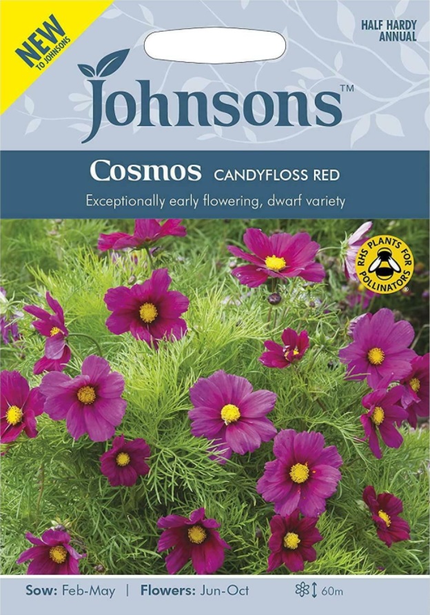Rosenskära 'Candyfloss Red' - Fröer