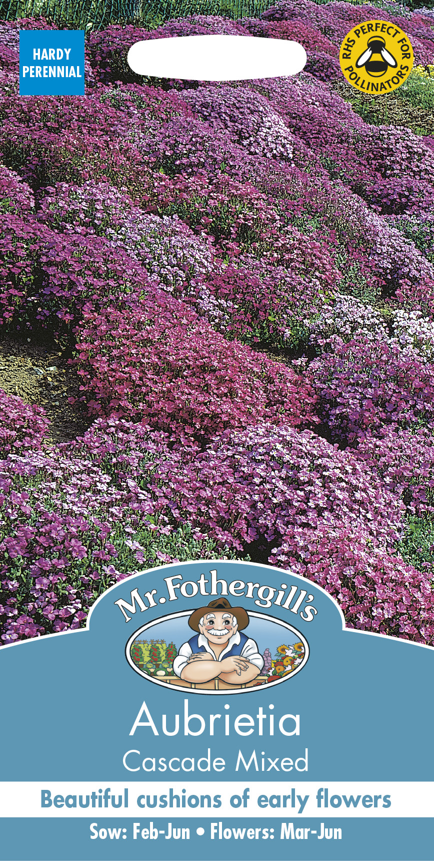 Aubrietia 'Cascade' mix, frö - Fröer