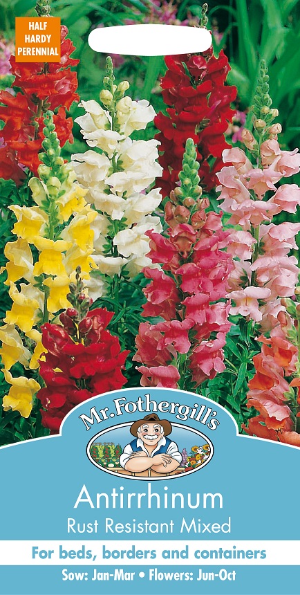Lejongap 'Rust Resistant' mix, frö - Fröer