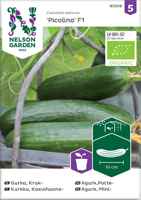 Krukgurka 'Picolino F1' Organic frö - Fröer
