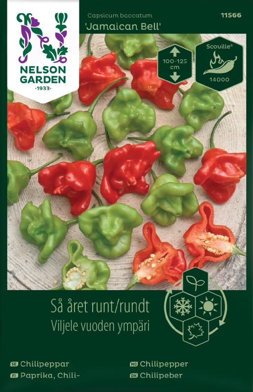 Chilipeppar 'Jamaican Bell' frö - Fröer