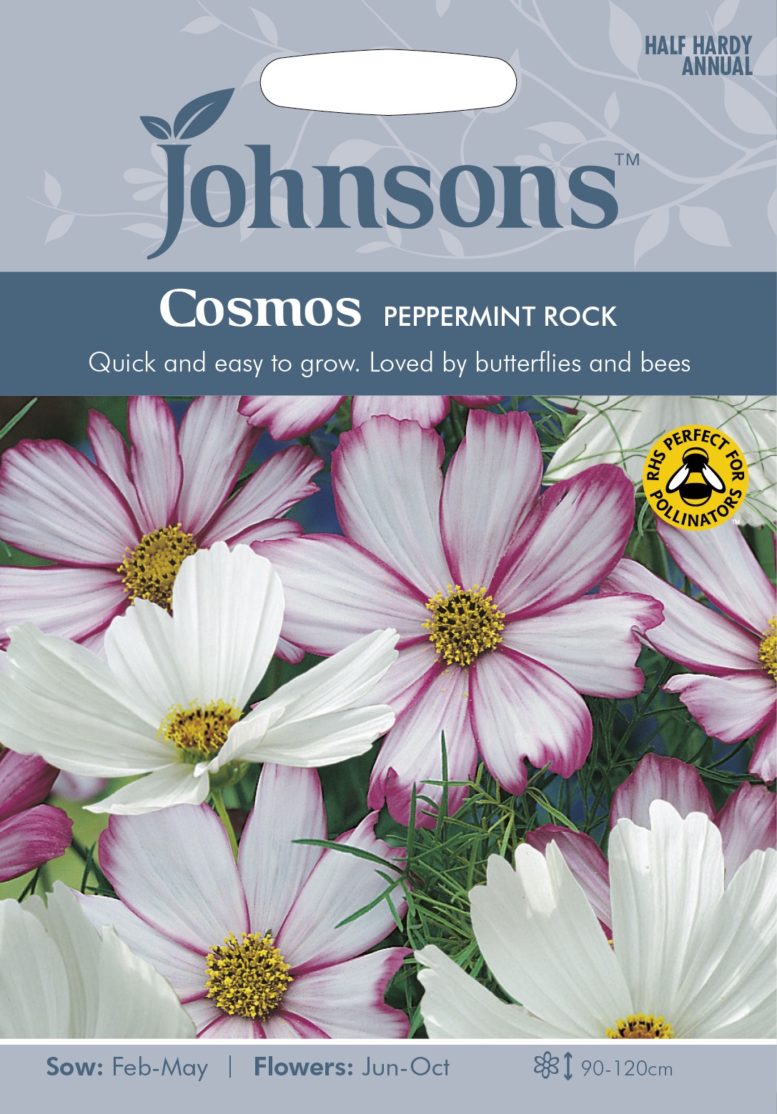 Rosenskära 'Peppermint Rock' frö - Fröer