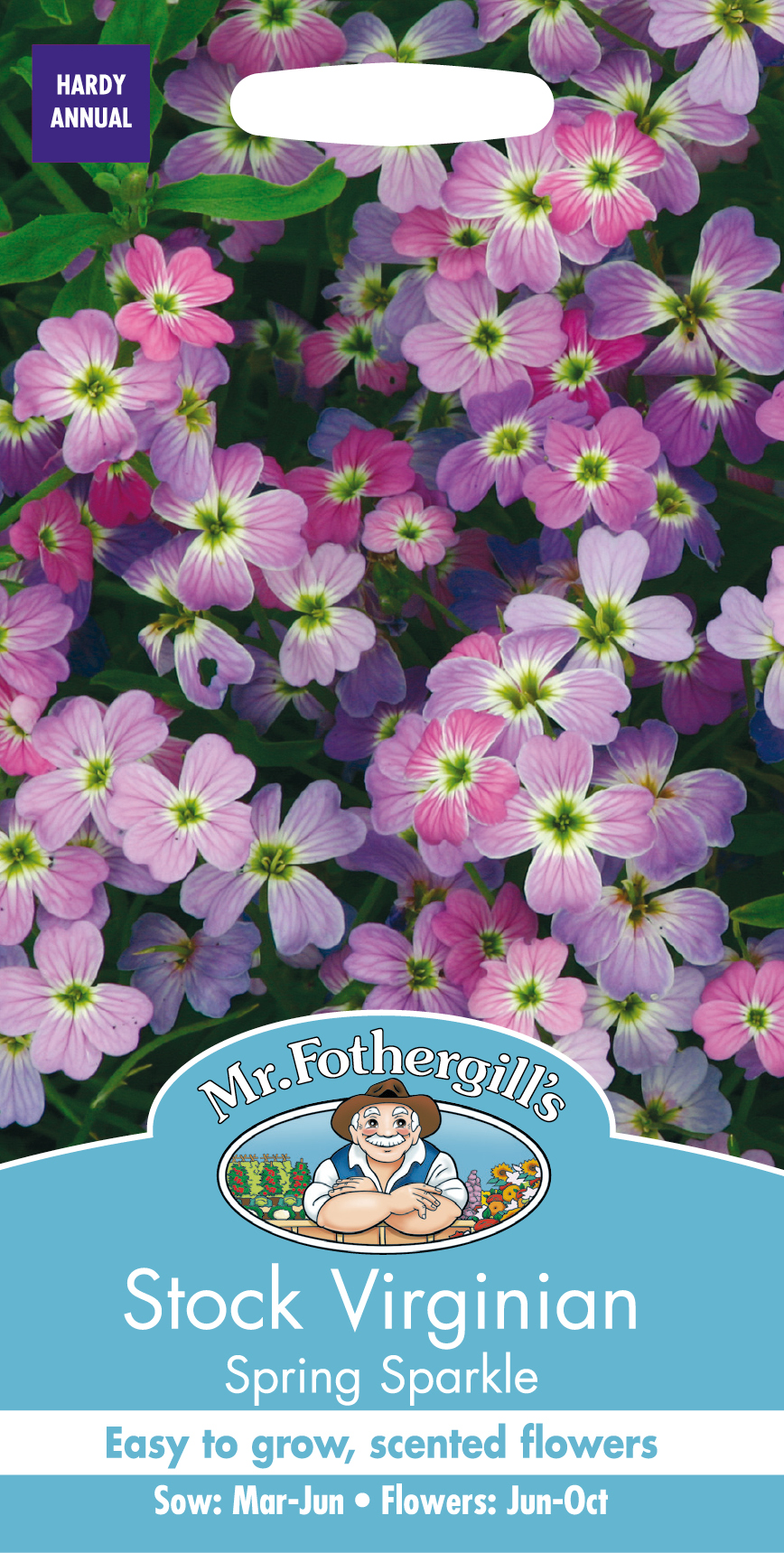 Strandlövkoja 'Spring Sparkle', frö - Fröer